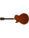 IBANEZ AG95K-NT