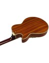 IBANEZ AG95K-NT