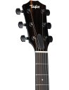 TAYLOR 217e BK PLUS MAPLE SPRUCE