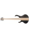IBANEZ BTB605-TGF
