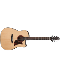 IBANEZ AAD170CE-LGS
