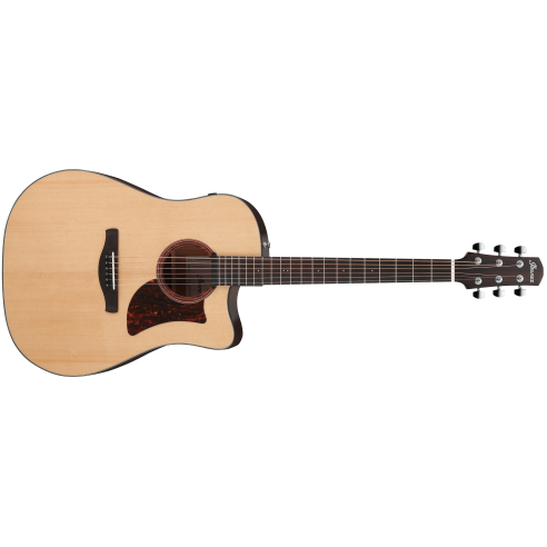 IBANEZ AAD170CE-LGS