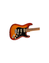 FENDER PLAYER PLUS STRAT PF SSB