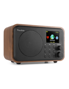 Audizio Vicenza Internet DAB BT WIFI Wood
