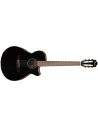 IBANEZ AEG50N-BKH
