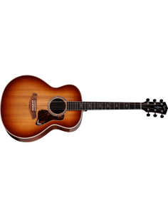 TAYLOR GOLD LABEL 814e-SB