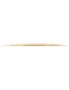 MEINL B20JCR