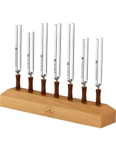 SONIC ENERGY TF-SET-CHA-7