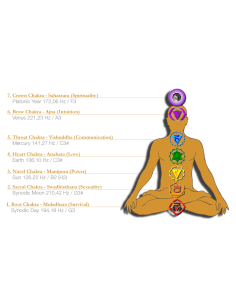 SONIC ENERGY TF-SET-CHA-7 2