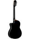 ORTEGA RCE138-T4BK