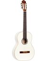 ORTEGA R121WH