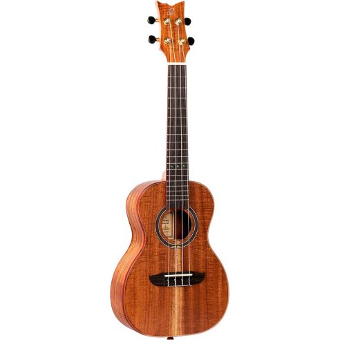 ORTEGA RUACA-CC