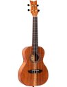 ORTEGA RUACA-CC