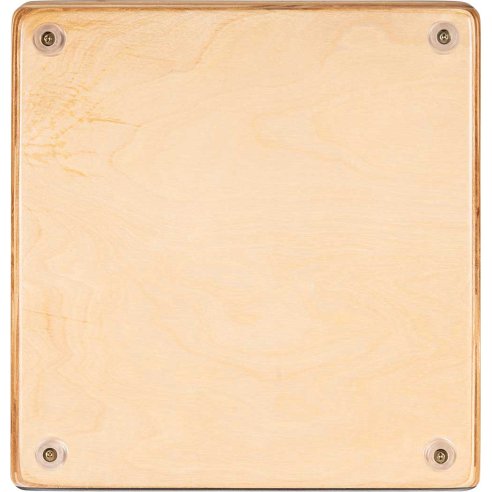 MEINL AESLRB