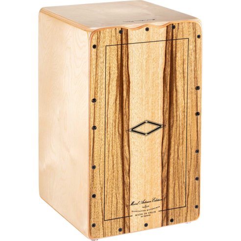 MEINL AETLLI