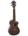ORTEGA RUCOAL-CE