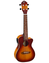 ORTEGA RUDAWN-CE
