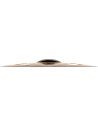 MEINL CC14DATRC