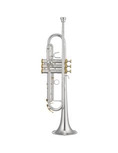XO BRASS ITALIA XO BB TRUMPET XO1602SLTR