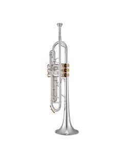 XO BRASS ITALIA XO BB TRUMPET XO1602SS4