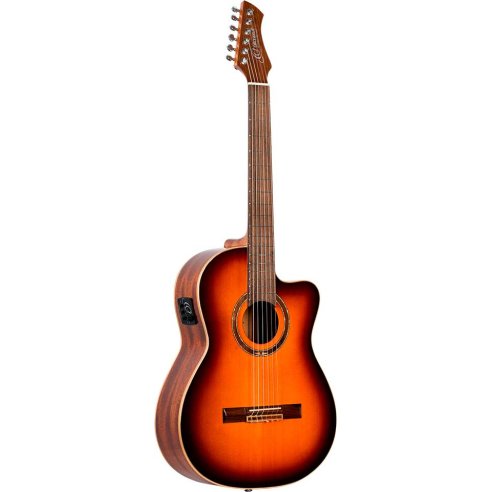 ORTEGA RCE238SN-FT