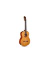 CORDOBA ITALIA C5 CEDRO
