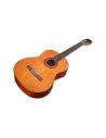 CORDOBA ITALIA C5 CEDRO