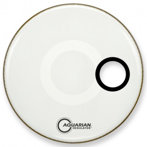 AQUARIAN RSM24W