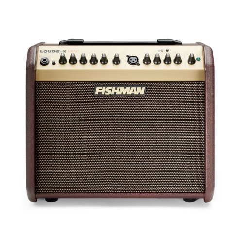 Fishman Loudbox Mini Bluetooth 60W (PRO-LBT-EU5)