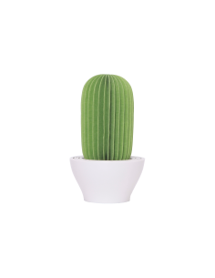 PAPIRHO PAPIRHO AROMA DIFFUSER CACTUS GREEN