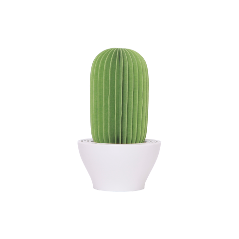 PAPIRHO PAPIRHO AROMA DIFFUSER CACTUS GREEN