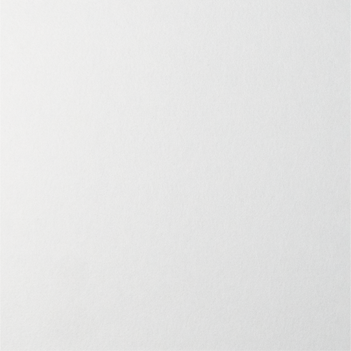 ARTNOVION Ulysses RT - FG | (P0029) White PET
