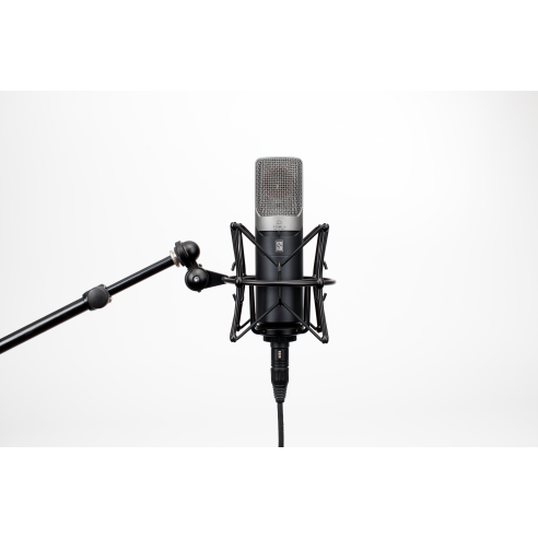 SLATE DIGITAL ML-1A