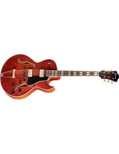 EASTMAN T49D/TV HB