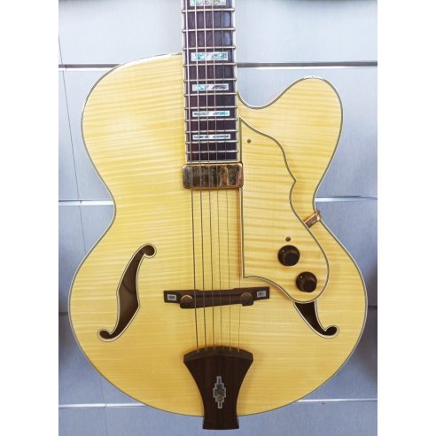 IBANEZ AF105F NT