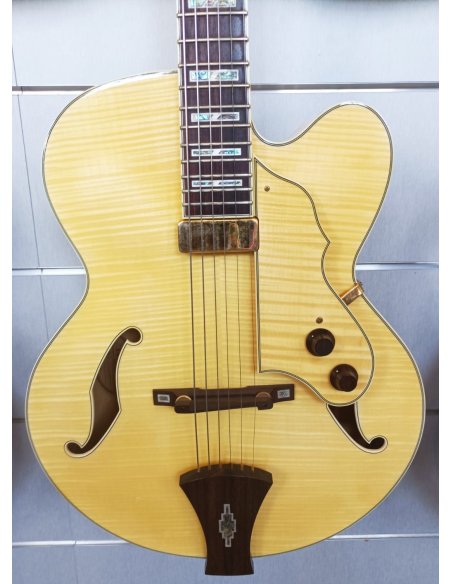 IBANEZ AF105F NT