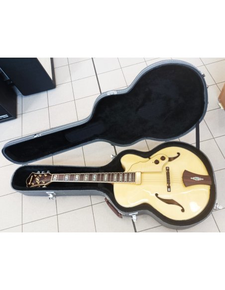 IBANEZ AF105F NT