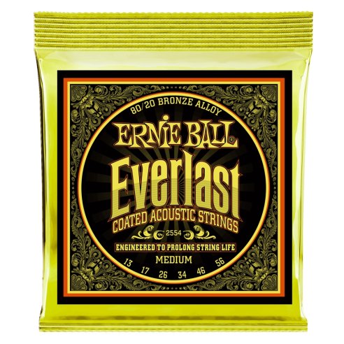 ERNIE BALL 2554 EVERLAST 80/20 MEDIUM