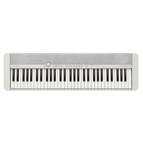 CASIO CT-S1WE