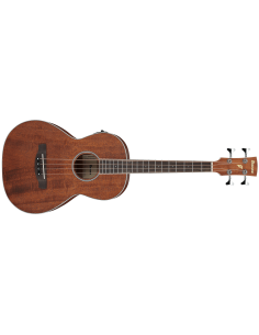IBANEZ PNB14E-OPN