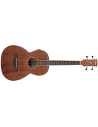 IBANEZ PNB14E-OPN