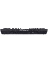 ROLAND GAIA-2