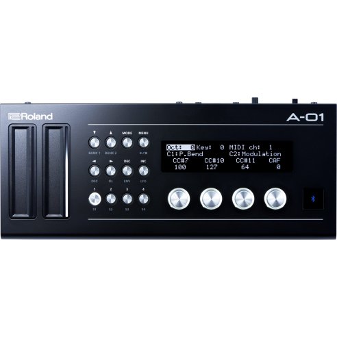 ROLAND A01 MODULO SONORO BOUTIQUE