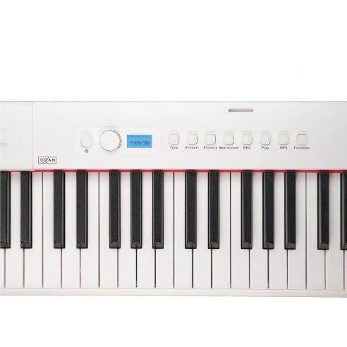 OQAN QP100 WB DIGITAL PIANO