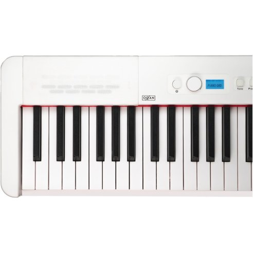 OQAN QP100 WB DIGITAL PIANO