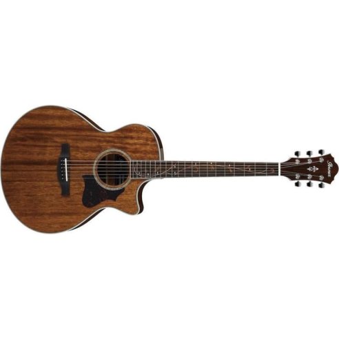 IBANEZ AE245-NT