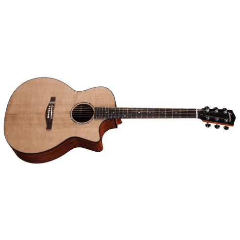 EASTMAN PCH1-GAce + GIGBAG