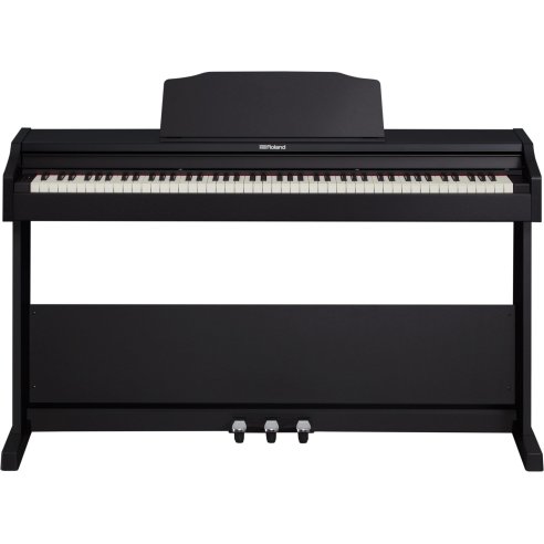 ROLAND RP-102 BK