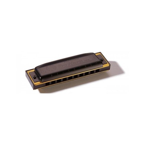 HOHNER PRO HARP 562/20 D (RE)
