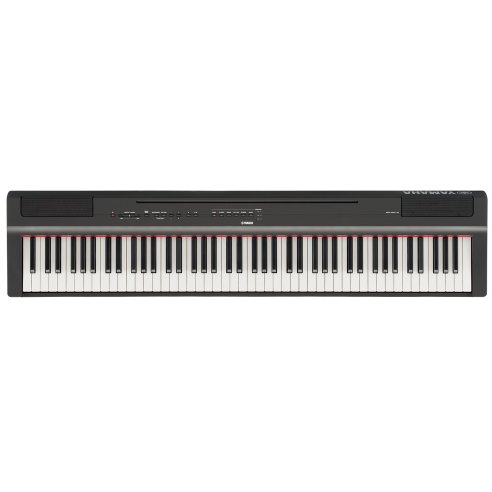 YAMAHA P125B
